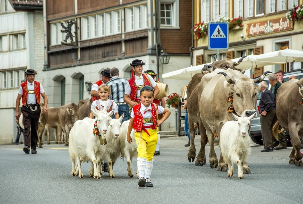 Den perfekte ferie i Schweiz: hvor finder man et ægte alpeeventyr