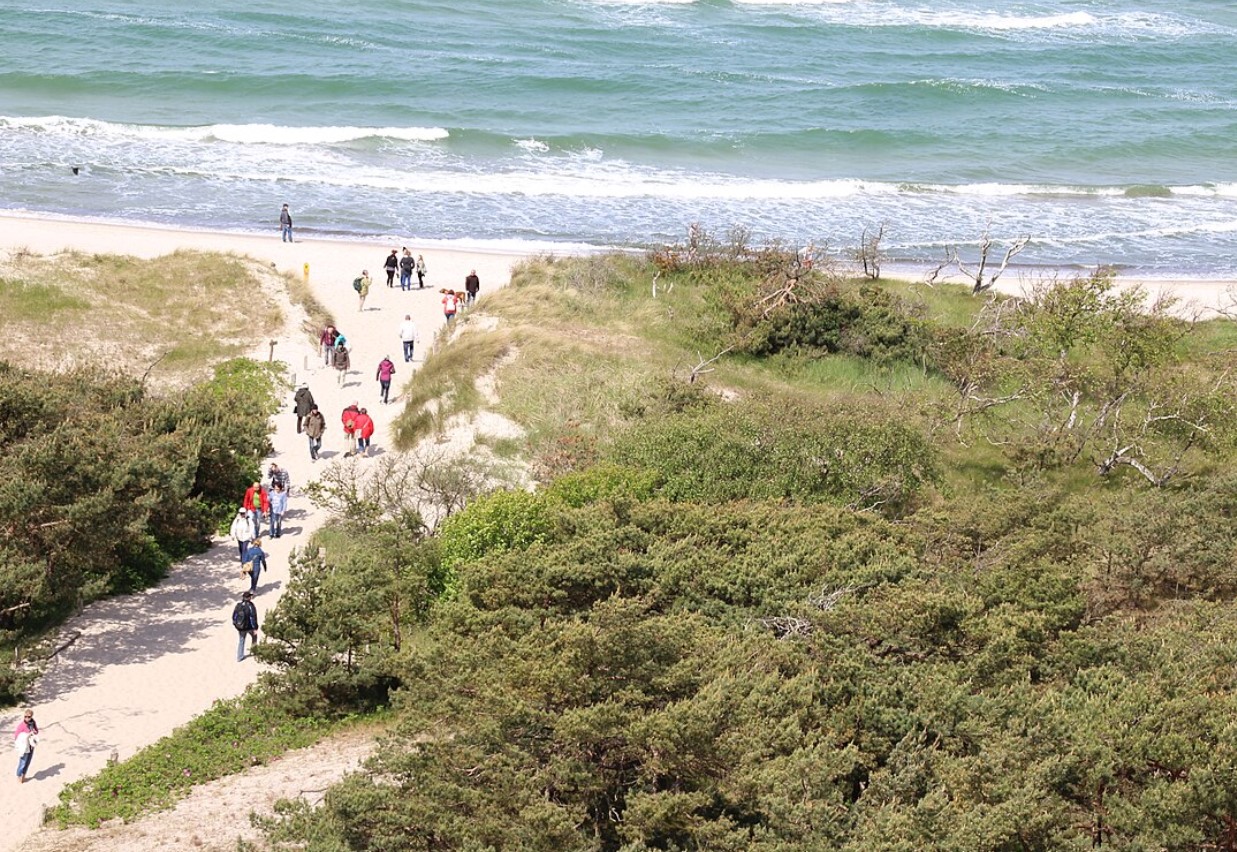 Badebyen Prerow: strand, skov og Østersøens længste mole