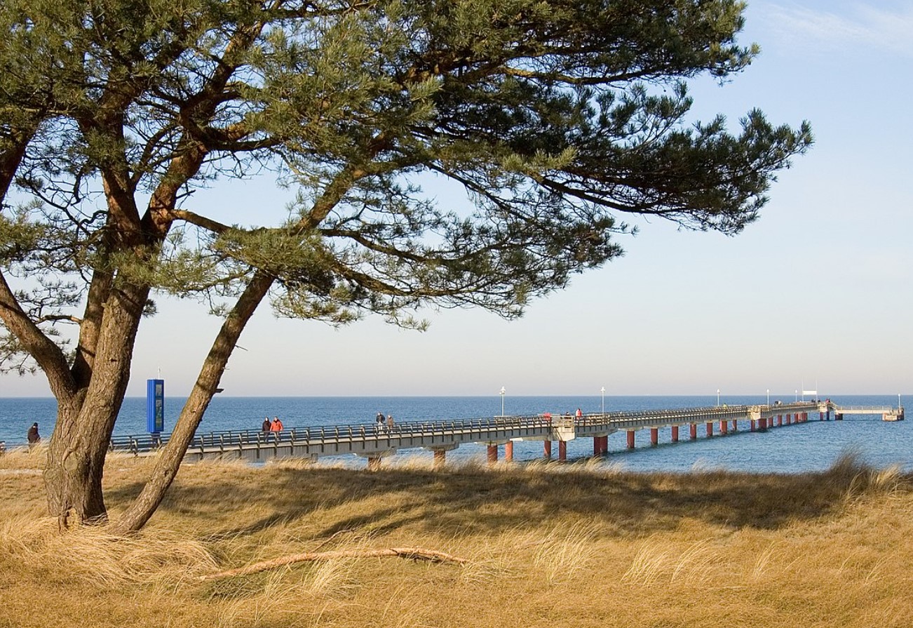Badebyen Prerow: strand, skov og Østersøens længste mole