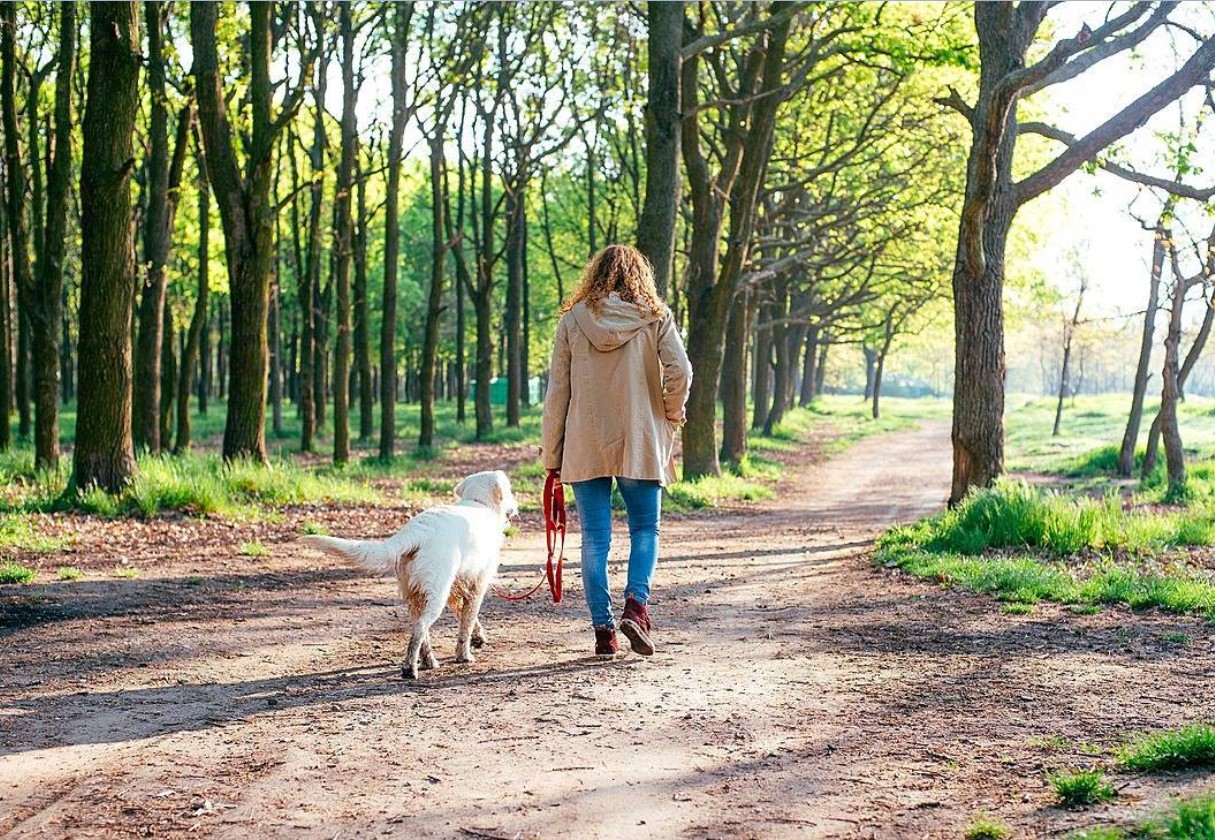 Karina går ikke længere i skoven med sin hund: 'Hun tænker på det hele tiden'