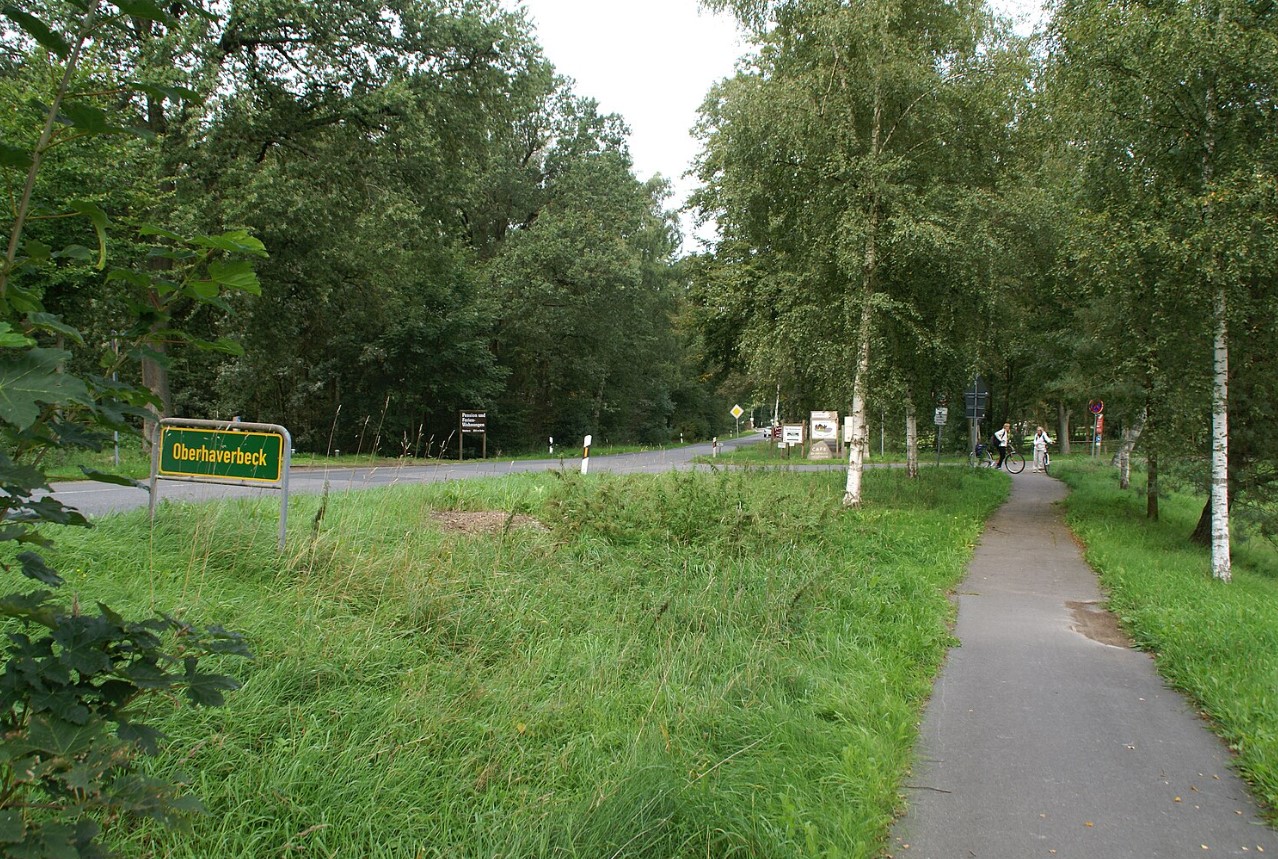Magisk purpur: her blomstrer Lüneburger Heide