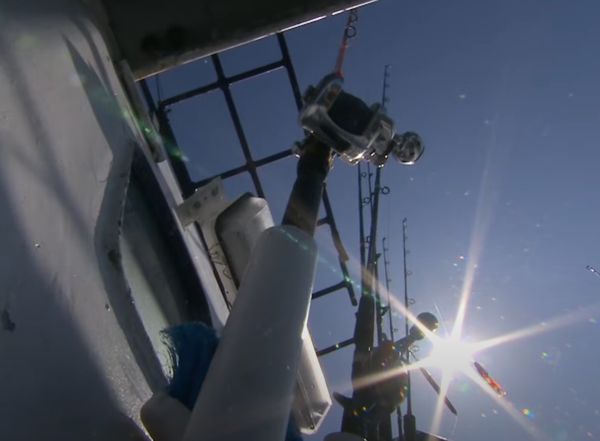 Havforskningsrådet anbefaler at stoppe torskefiskeriet i Nordsøen og Skagerrak: 'En meget trist begivenhed'