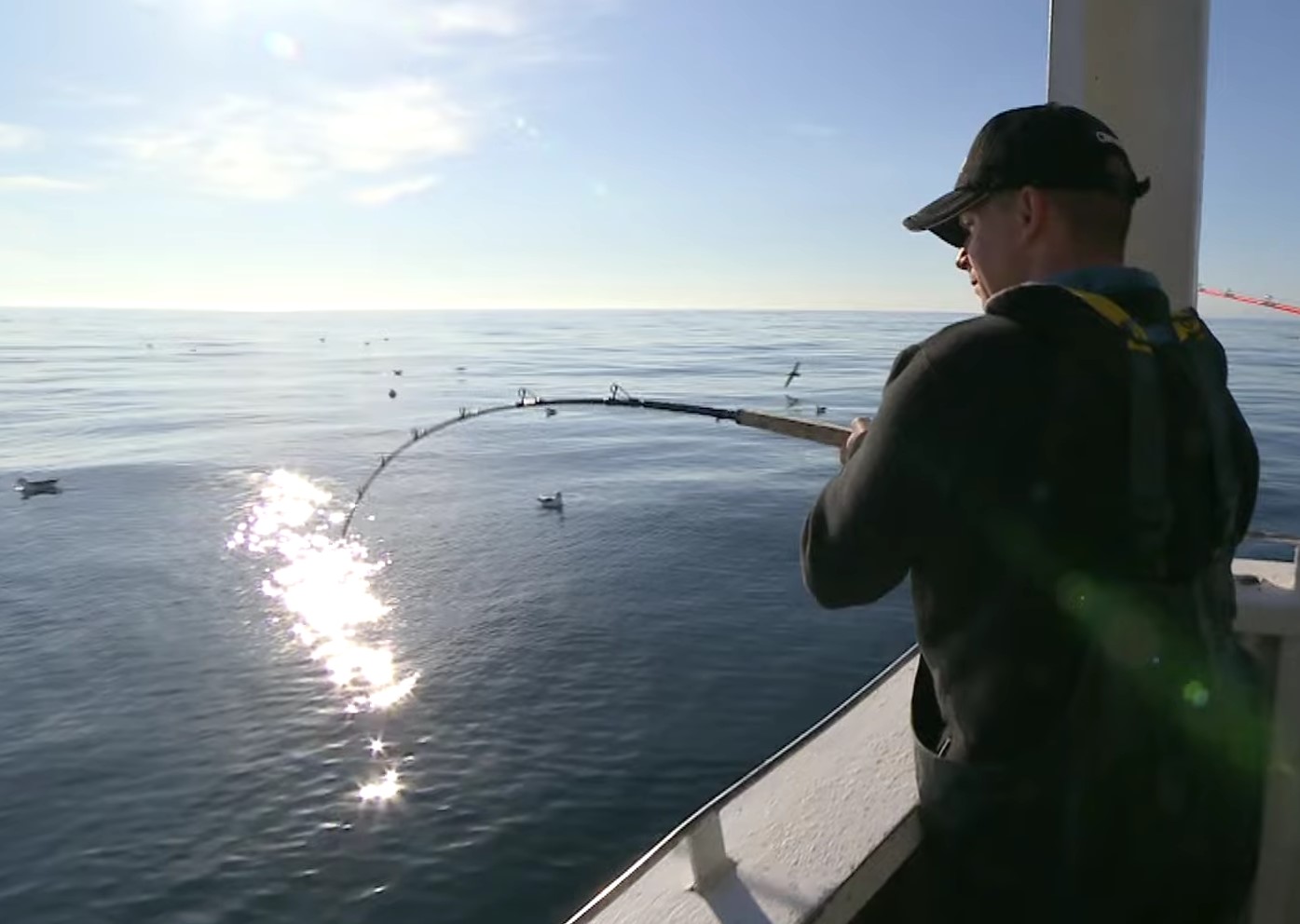 Havforskningsrådet anbefaler at stoppe torskefiskeriet i Nordsøen og Skagerrak: 'En meget trist begivenhed'