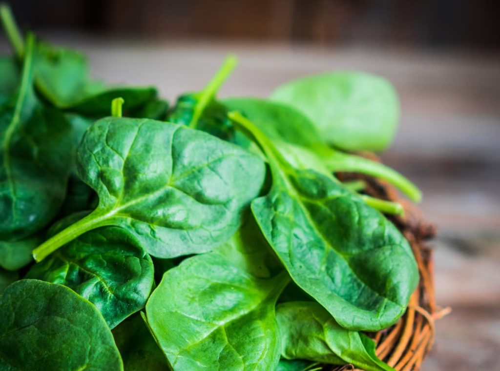 Hvad sker der med dit jernniveau, når du spiser spinat regelmæssigt