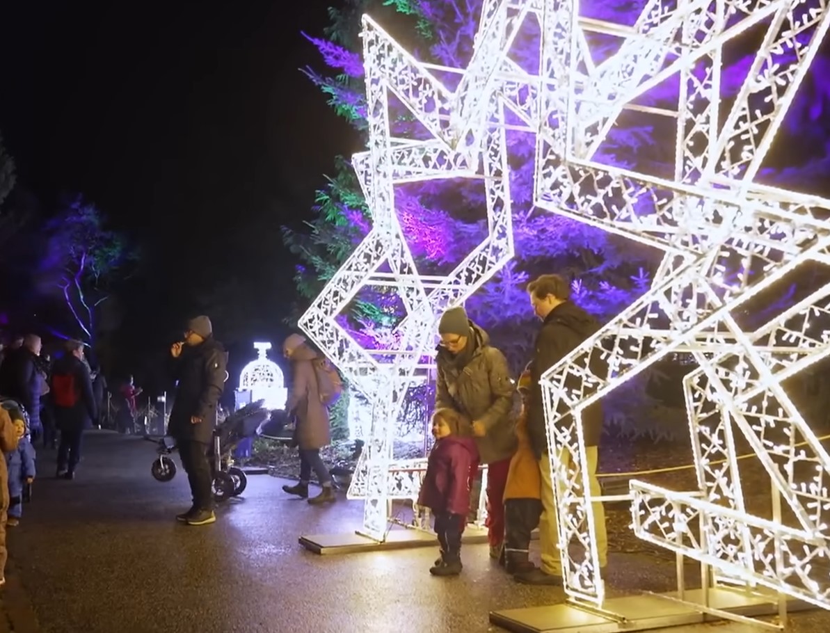 Julemarked 2025 i Hamborg: farverigt, muntert og mangfoldigt