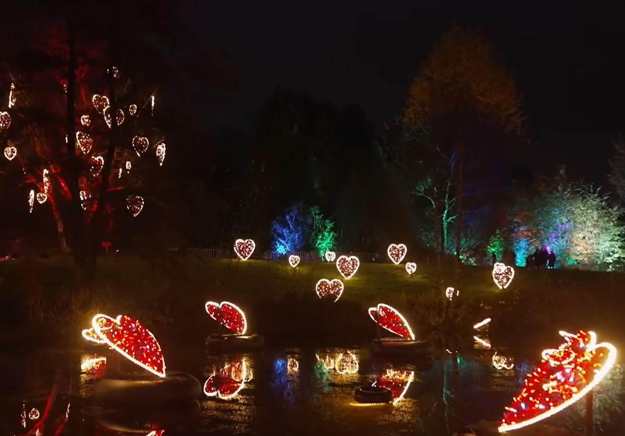 Julemarked 2025 i Hamborg: farverigt, muntert og mangfoldigt